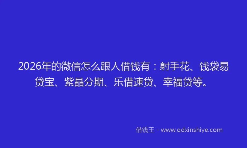 2026年的微信怎么跟人借钱有：射手花、钱袋易贷宝、紫晶分期、乐借速贷、幸福贷等。