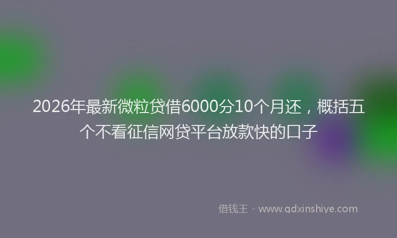 2026年最新微粒贷借6000分10个月还，概括五个不看征信网贷平台放款快的口子