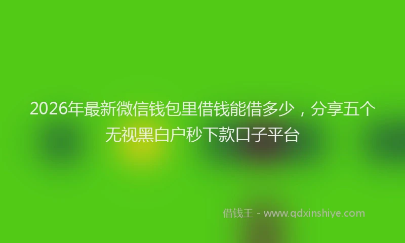 2026年最新微信钱包里借钱能借多少，分享五个无视黑白户秒下款口子平台