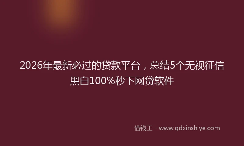 2026年最新必过的贷款平台，总结5个无视征信黑白100%秒下网贷软件