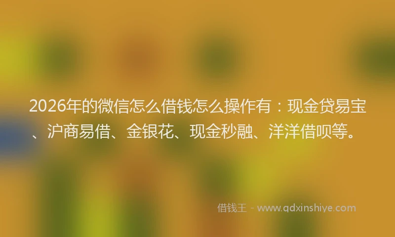 2026年的微信怎么借钱怎么操作有：现金贷易宝、沪商易借、金银花、现金秒融、洋洋借呗等。