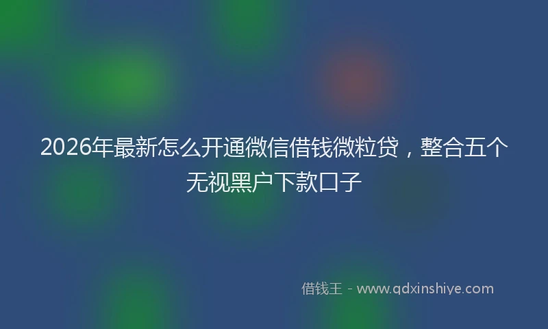 2026年最新怎么开通微信借钱微粒贷，整合五个无视黑户下款口子