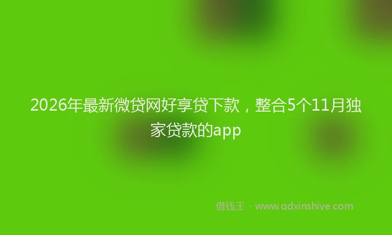 2026年最新微贷网好享贷下款，整合5个11月独家贷款的app