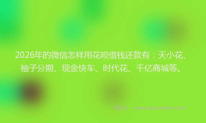 2026年的微信怎样用花呗借钱还款有：天小花、柚子分期、现金快车、时代花、千亿商城等。