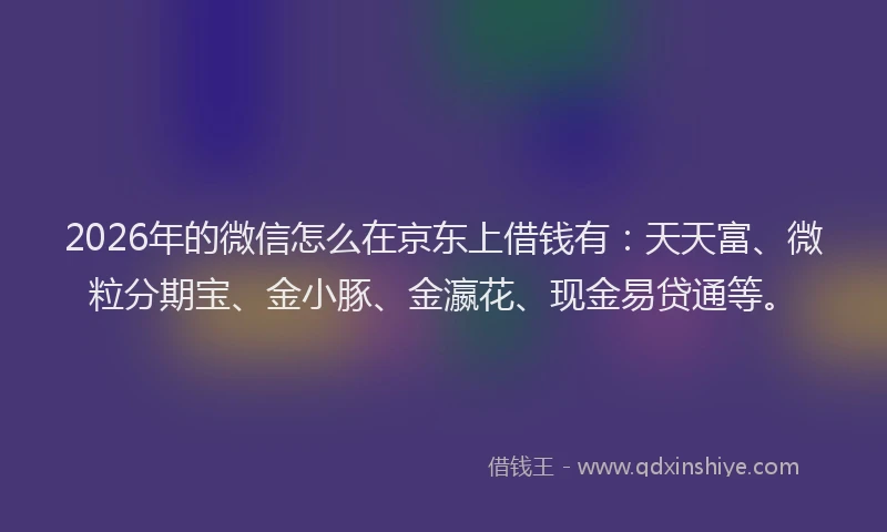 2026年的微信怎么在京东上借钱有：天天富、微粒分期宝、金小豚、金瀛花、现金易贷通等。