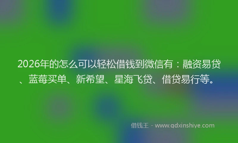 2026年的怎么可以轻松借钱到微信有：融资易贷、蓝莓买单、新希望、星海飞贷、借贷易行等。