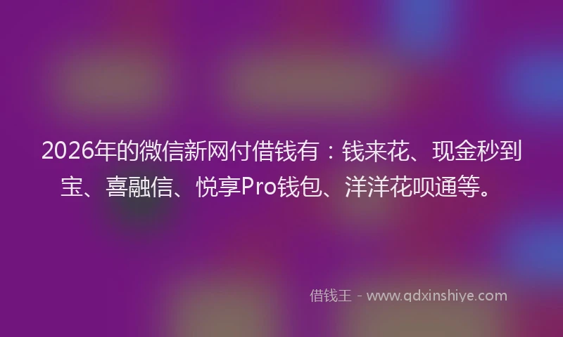 2026年的微信新网付借钱有：钱来花、现金秒到宝、喜融信、悦享Pro钱包、洋洋花呗通等。