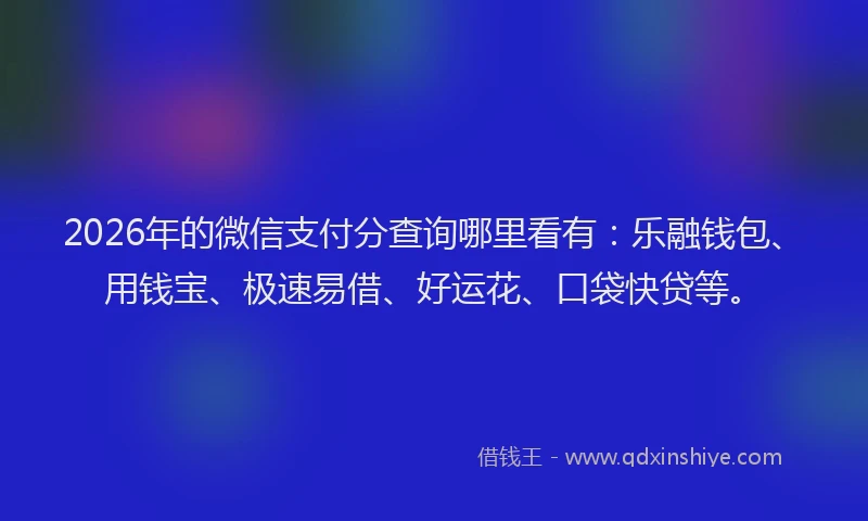 2026年的微信支付分查询哪里看有：乐融钱包、用钱宝、极速易借、好运花、口袋快贷等。