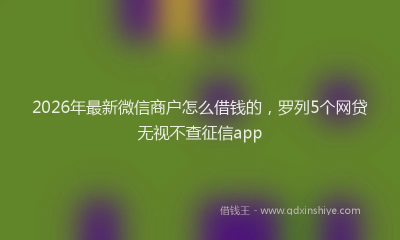 2026年最新微信商户怎么借钱的，罗列5个网贷无视不查征信app
