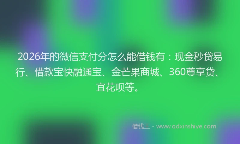 2026年的微信支付分怎么能借钱有：现金秒贷易行、借款宝快融通宝、金芒果商城、360尊享贷、宜花呗等。