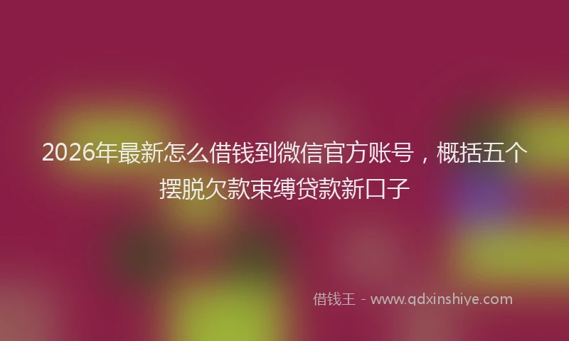 2026年最新怎么借钱到微信官方账号，概括五个摆脱欠款束缚贷款新口子