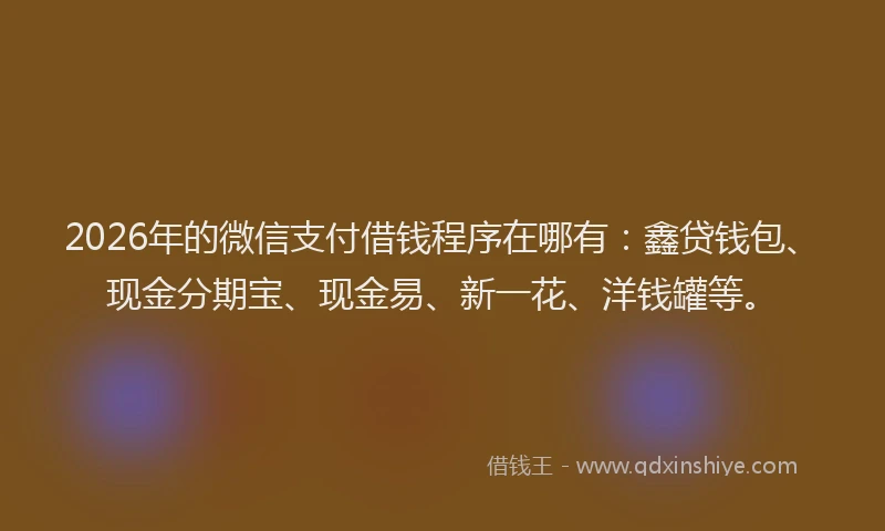 2026年的微信支付借钱程序在哪有：鑫贷钱包、现金分期宝、现金易、新一花、洋钱罐等。