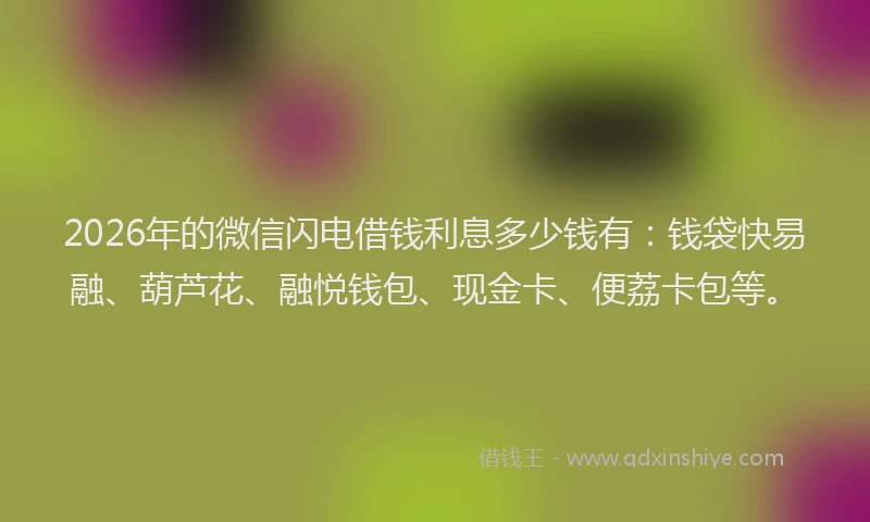 2026年的微信闪电借钱利息多少钱有：钱袋快易融、葫芦花、融悦钱包、现金卡、便荔卡包等。
