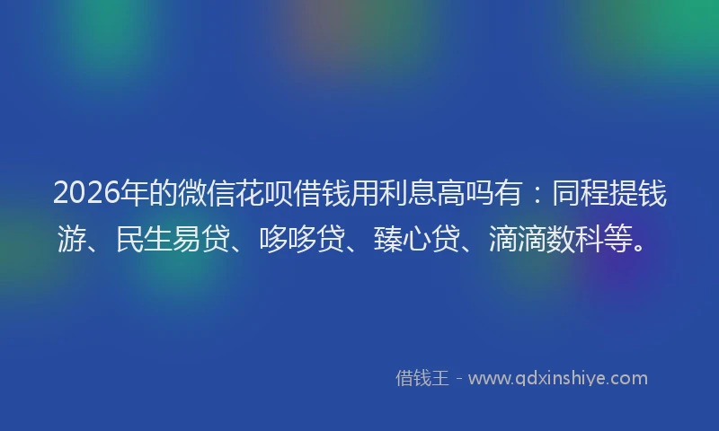 2026年的微信花呗借钱用利息高吗有：同程提钱游、民生易贷、哆哆贷、臻心贷、滴滴数科等。