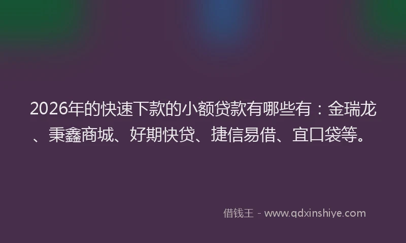 2026年的快速下款的小额贷款有哪些有：金瑞龙、秉鑫商城、好期快贷、捷信易借、宜口袋等。
