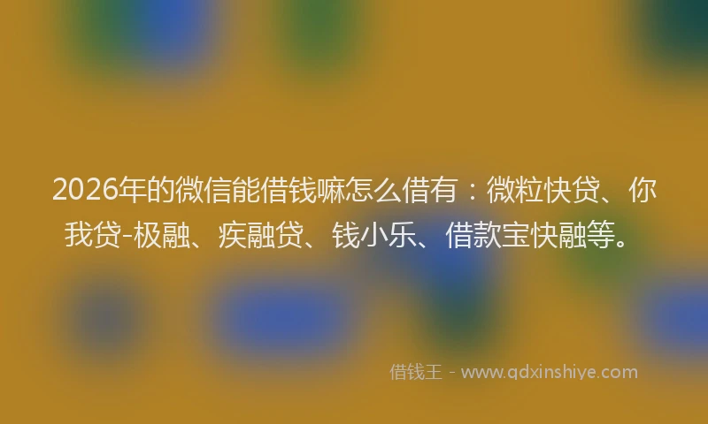 2026年的微信能借钱嘛怎么借有：微粒快贷、你我贷-极融、疾融贷、钱小乐、借款宝快融等。
