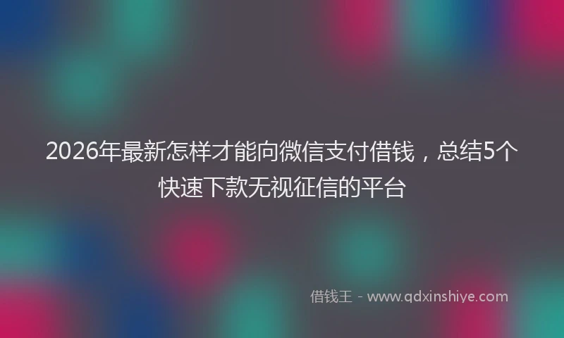 2026年最新怎样才能向微信支付借钱，总结5个快速下款无视征信的平台