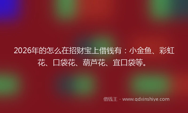 2026年的怎么在招财宝上借钱有：小金鱼、彩虹花、口袋花、葫芦花、宜口袋等。