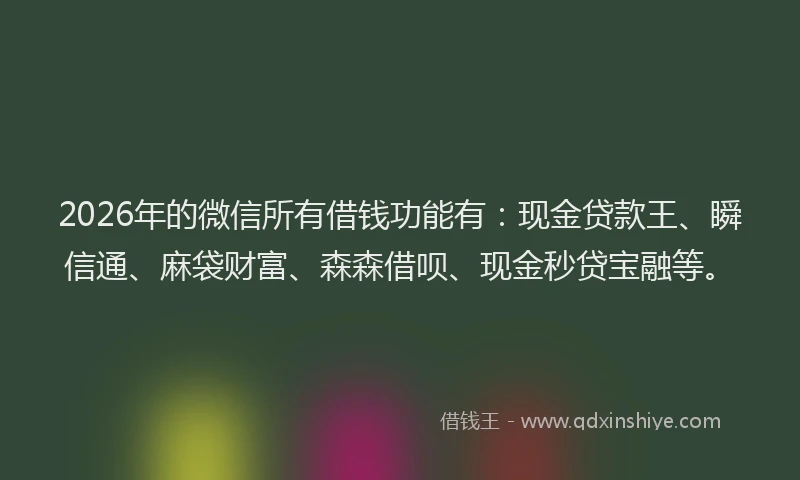 2026年的微信所有借钱功能有：现金贷款王、瞬信通、麻袋财富、森森借呗、现金秒贷宝融等。