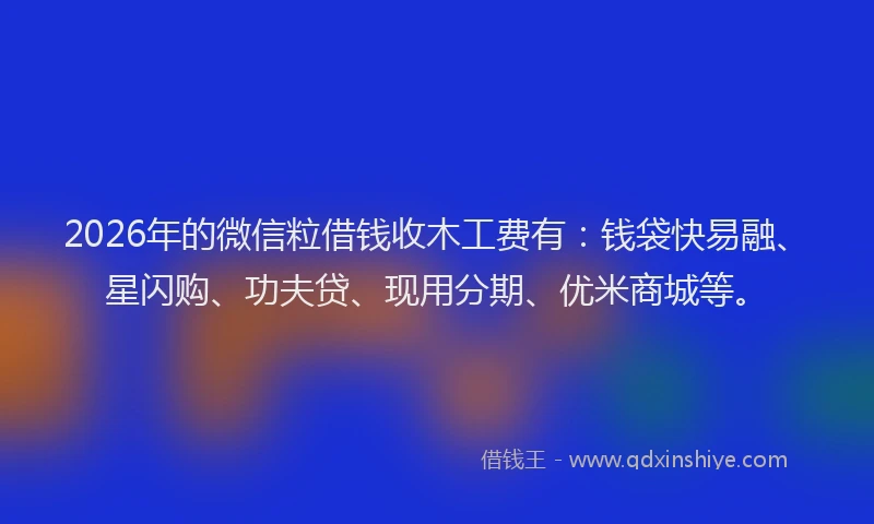 2026年的微信粒借钱收木工费有：钱袋快易融、星闪购、功夫贷、现用分期、优米商城等。