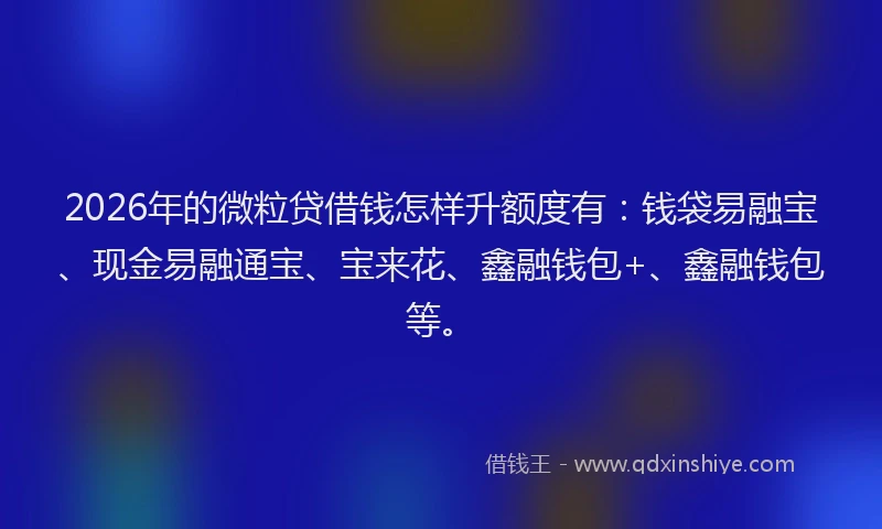 2026年的微粒贷借钱怎样升额度有：钱袋易融宝、现金易融通宝、宝来花、鑫融钱包+、鑫融钱包等。