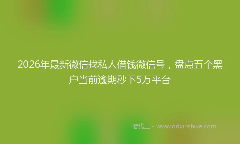 2026年最新微信找私人借钱微信号，盘点五个黑户当前逾期秒下5万平台