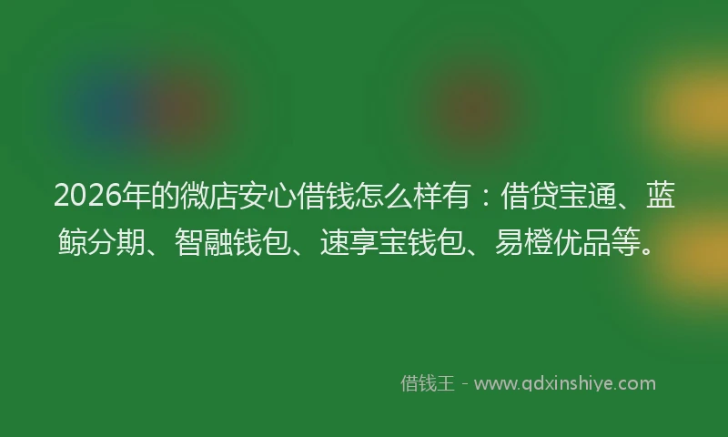 2026年的微店安心借钱怎么样有：借贷宝通、蓝鲸分期、智融钱包、速享宝钱包、易橙优品等。