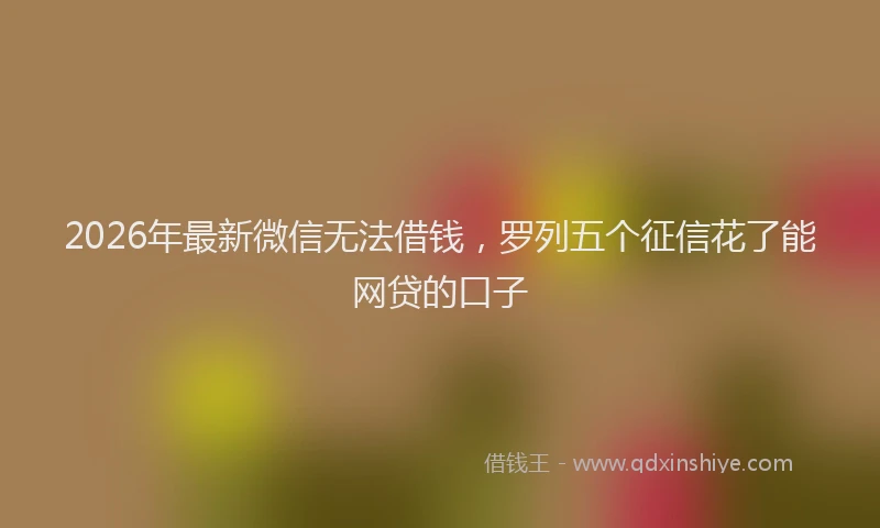 2026年最新微信无法借钱，罗列五个征信花了能网贷的口子