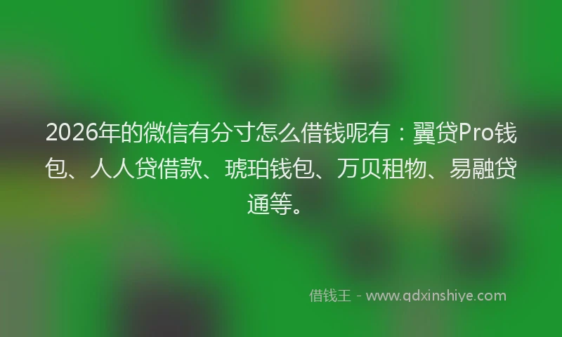 2026年的微信有分寸怎么借钱呢有：翼贷Pro钱包、人人贷借款、琥珀钱包、万贝租物、易融贷通等。