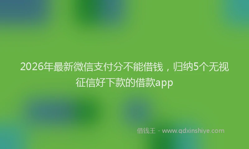 2026年最新微信支付分不能借钱，归纳5个无视征信好下款的借款app