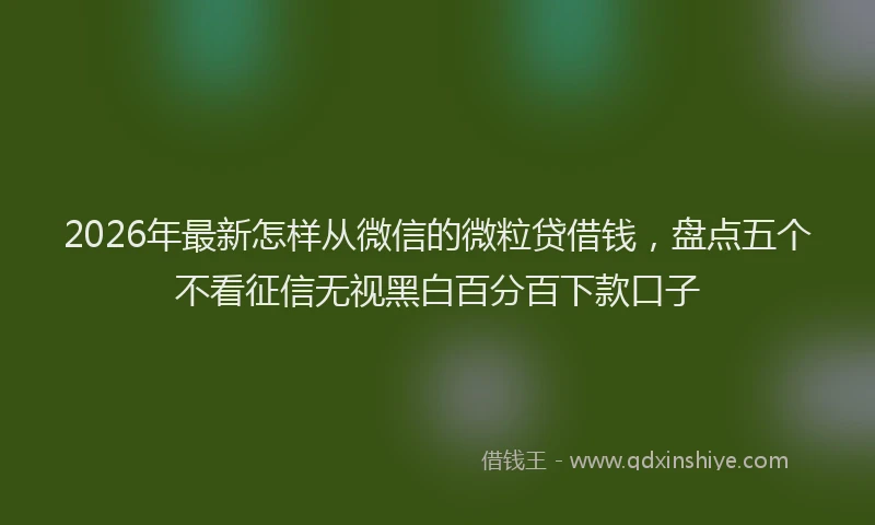 2026年最新怎样从微信的微粒贷借钱，盘点五个不看征信无视黑白百分百下款口子