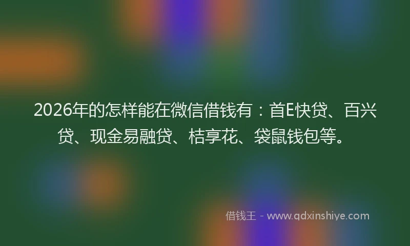 2026年的怎样能在微信借钱有:首E快贷、百兴贷、现金易融贷、桔享花、袋鼠钱包等。