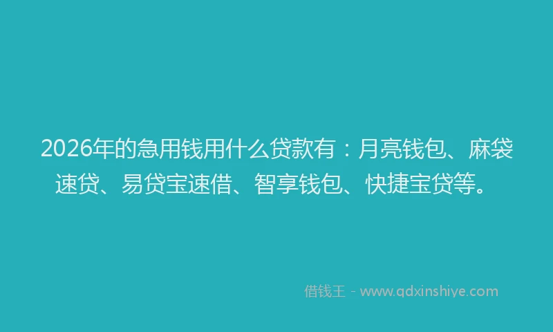 2026年的急用钱用什么贷款有：月亮钱包、麻袋速贷、易贷宝速借、智享钱包、快捷宝贷等。