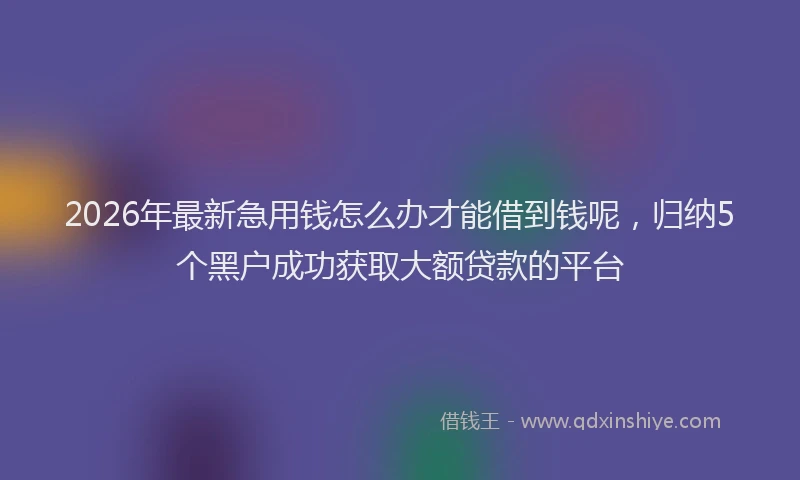 2026年最新急用钱怎么办才能借到钱呢，归纳5个黑户成功获取大额贷款的平台