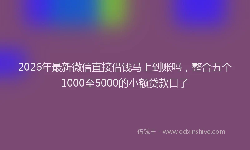 2026年最新微信直接借钱马上到账吗，整合五个1000至5000的小额贷款口子
