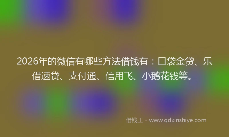 2026年的微信有哪些方法借钱有：口袋金贷、乐借速贷、支付通、信用飞、小鹅花钱等。