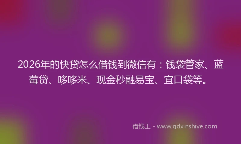 2026年的快贷怎么借钱到微信有：钱袋管家、蓝莓贷、哆哆米、现金秒融易宝、宜口袋等。