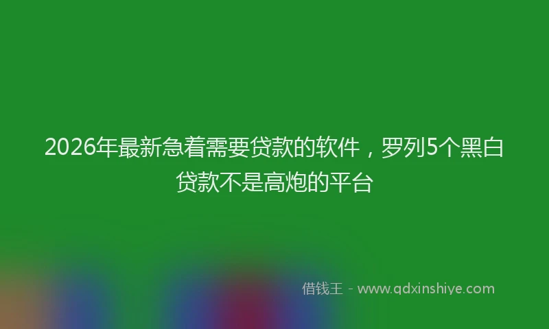 2026年最新急着需要贷款的软件，罗列5个黑白贷款不是高炮的平台