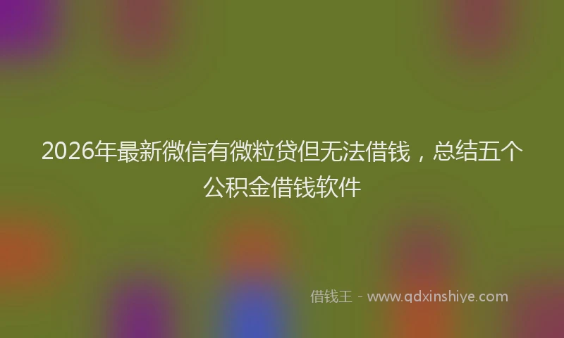 2026年最新微信有微粒贷但无法借钱，总结五个公积金借钱软件