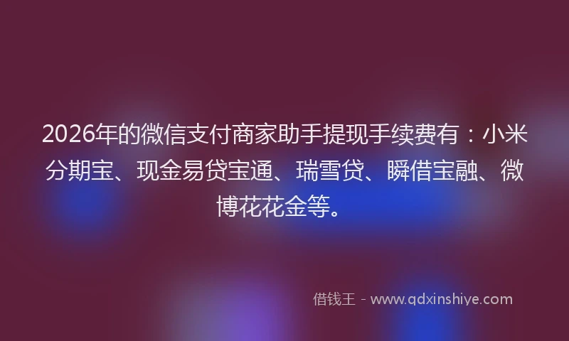 2026年的微信支付商家助手提现手续费有：小米分期宝、现金易贷宝通、瑞雪贷、瞬借宝融、微博花花金等。