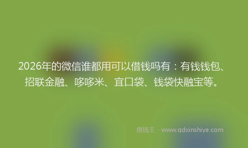 2026年的微信谁都用可以借钱吗有：有钱钱包、招联金融、哆哆米、宜口袋、钱袋快融宝等。