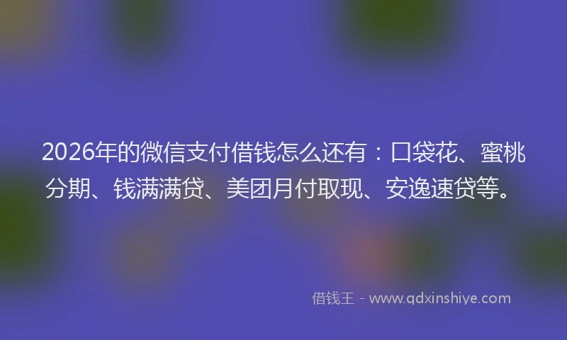 2026年的微信支付借钱怎么还有：口袋花、蜜桃分期、钱满满贷、美团月付取现、安逸速贷等。
