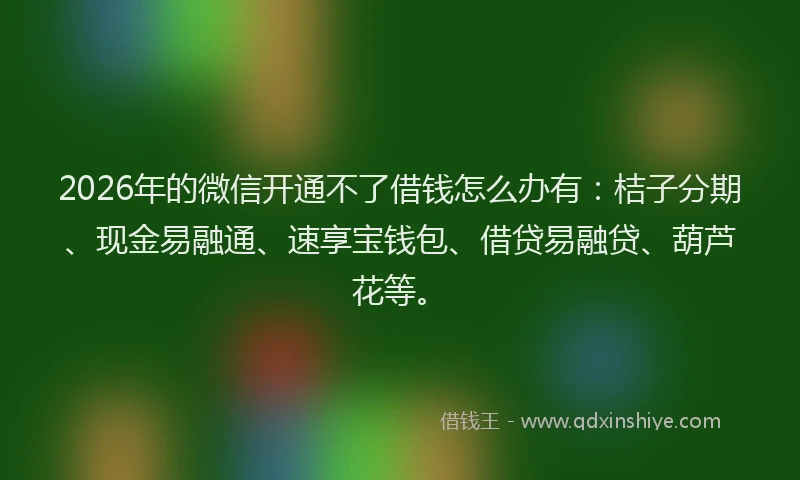 2026年的微信开通不了借钱怎么办有：桔子分期、现金易融通、速享宝钱包、借贷易融贷、葫芦花等。
