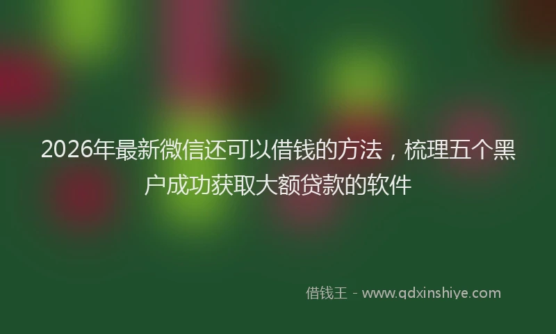 2026年最新微信还可以借钱的方法，梳理五个黑户成功获取大额贷款的软件