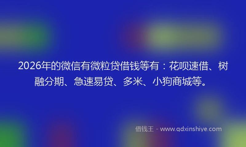 2026年的微信有微粒贷借钱等有：花呗速借、树融分期、急速易贷、多米、小狗商城等。