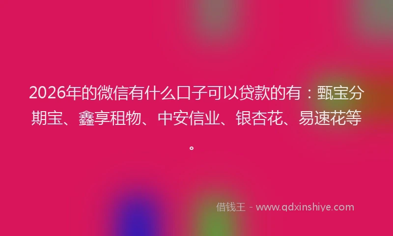 2026年的微信有什么口子可以贷款的有：甄宝分期宝、鑫享租物、中安信业、银杏花、易速花等。