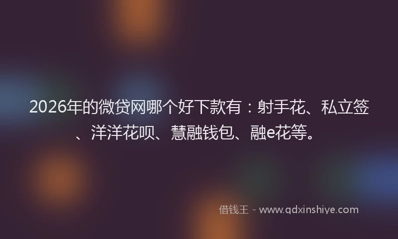 2026年的微贷网哪个好下款有：射手花、私立签、洋洋花呗、慧融钱包、融e花等。