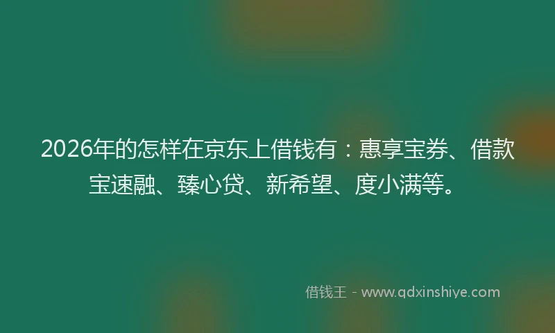 2026年的怎样在京东上借钱有：惠享宝券、借款宝速融、臻心贷、新希望、度小满等。
