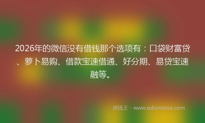 2026年的微信没有借钱那个选项有：口袋财富贷、萝卜易购、借款宝速借通、好分期、易贷宝速融等。