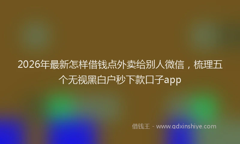 2026年最新怎样借钱点外卖给别人微信,梳理五个无视黑白户秒下款口子app